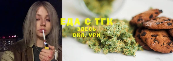 шишки Аркадак