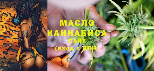 шишки Аркадак