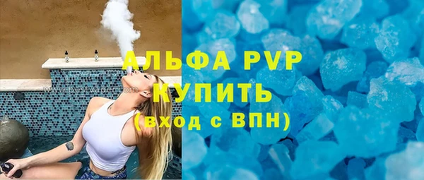 шишки Аркадак