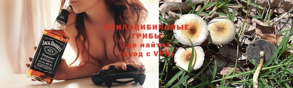 шишки Аркадак