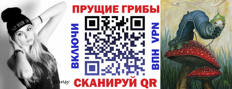 Галлюциногенные грибы Psilocybe  Новодвинск 
