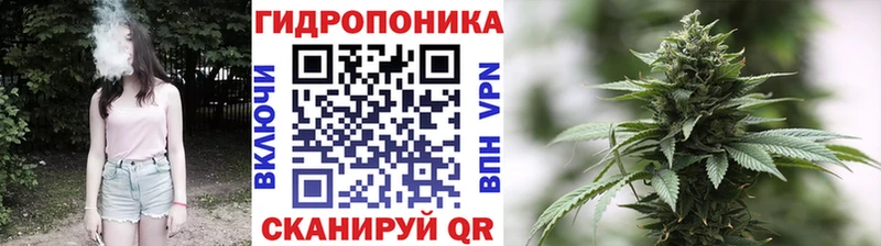 Каннабис Ganja Новодвинск